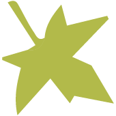 renovation-19 Decoración